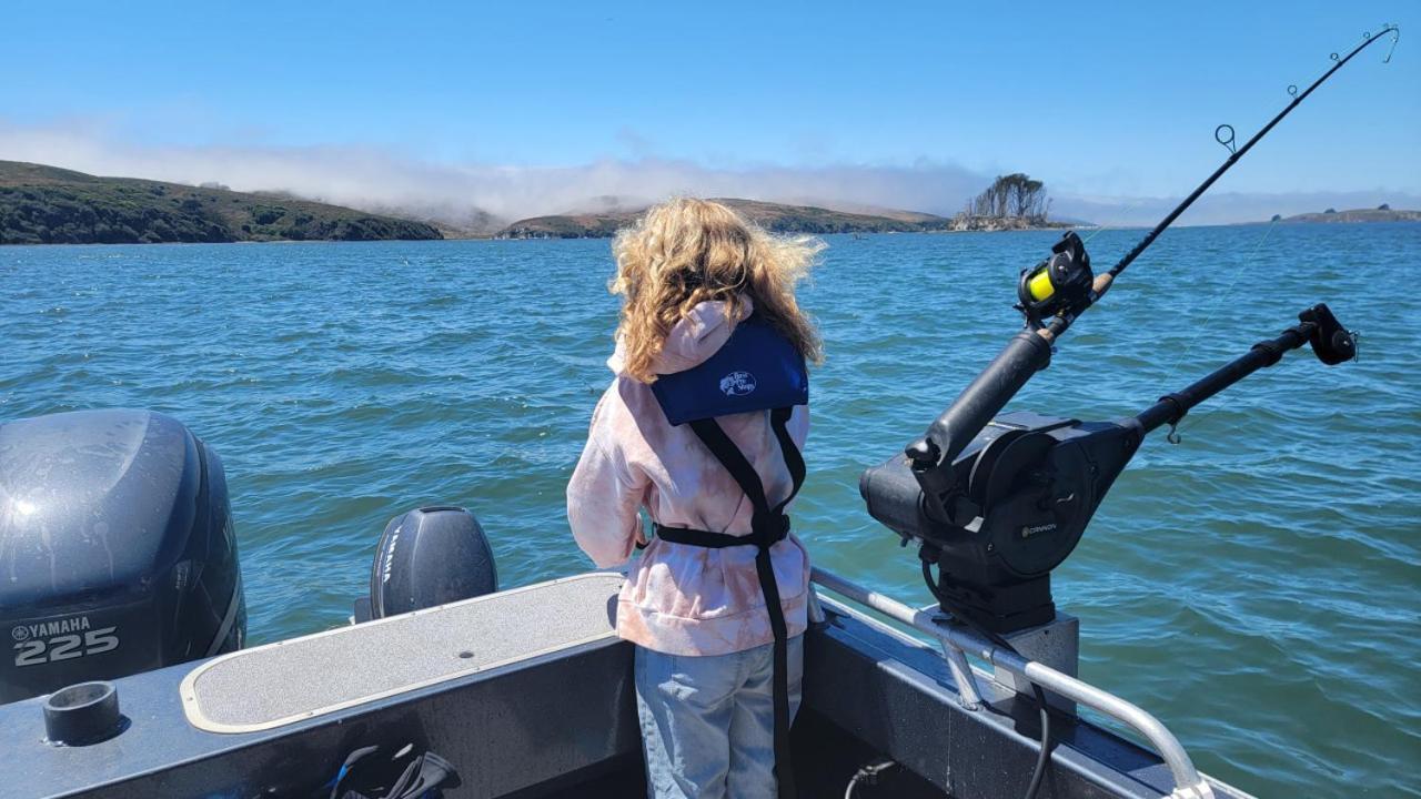 Sonoma Coast Ocean Views 3 Bedroom * Bodega Bay