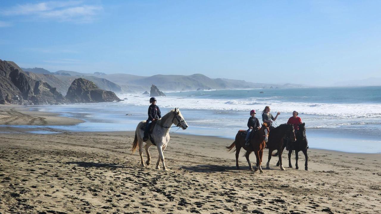 Sonoma Coast Ocean Views 3 Bedroom Hébergement de vacances Bodega Bay